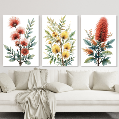 Native Flora Set of 3 Wall Art Canvas Prints