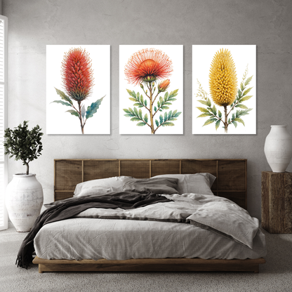 Australian Native Florals Set of 3 Wall Art Canvas Prints