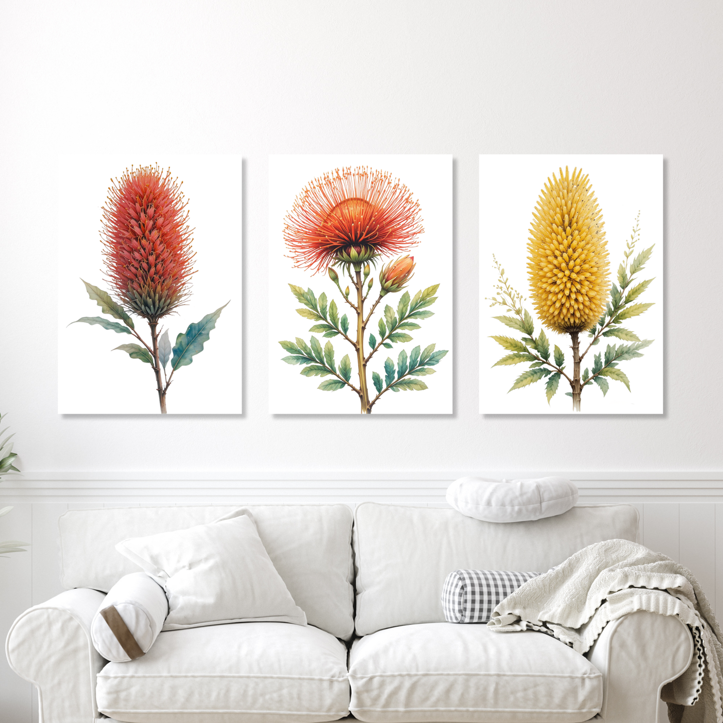 Australian Native Florals Set of 3 Wall Art Canvas Prints