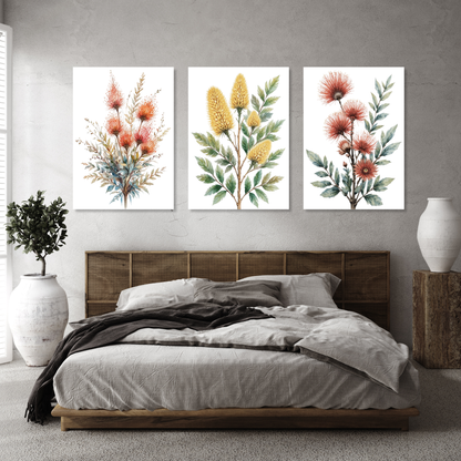 Australian Flora Set of 3 Wall Art Canvas Prints
