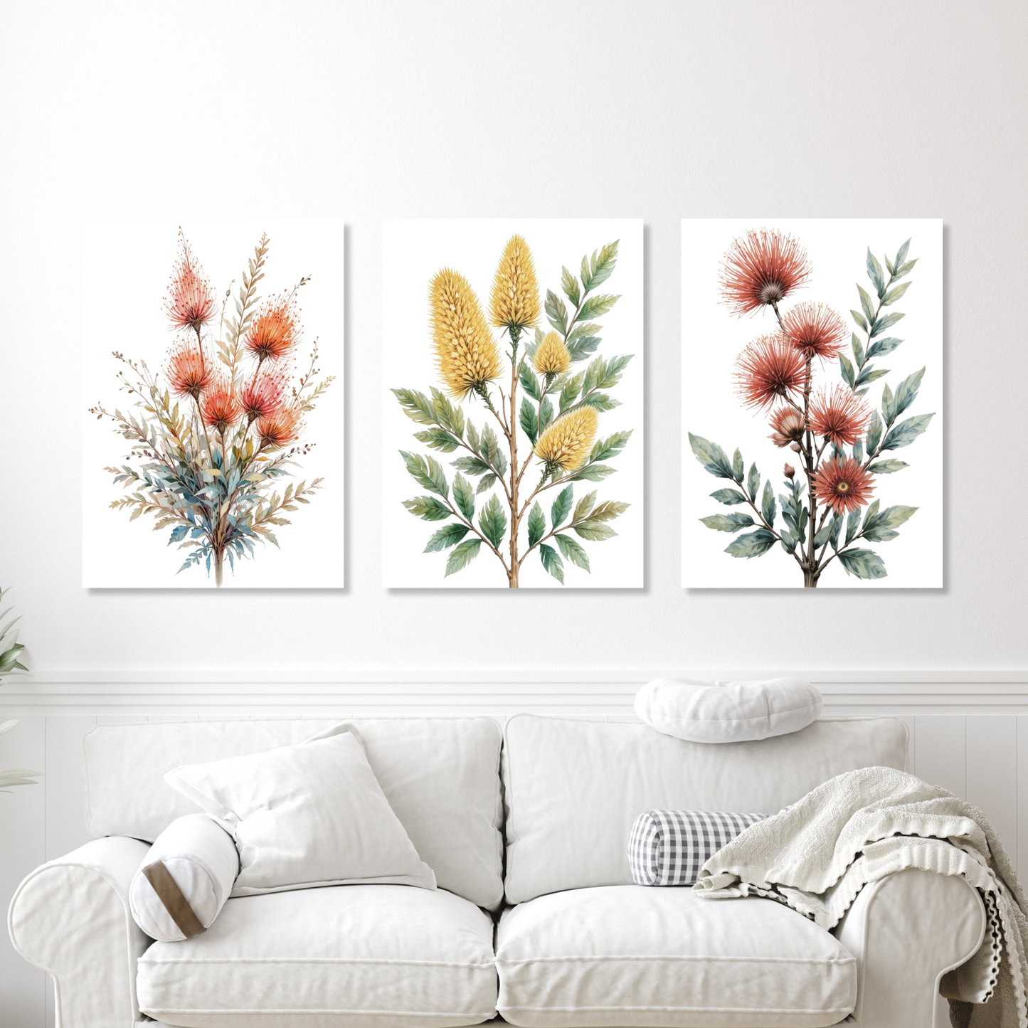 Australian Flora Set of 3 Wall Art Canvas Prints