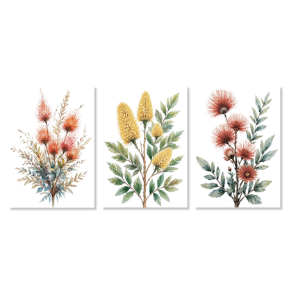 Australian Flora Set of 3 Wall Art Canvas Prints