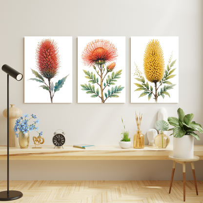 Australian Native Florals Set of 3 Wall Art Canvas Prints