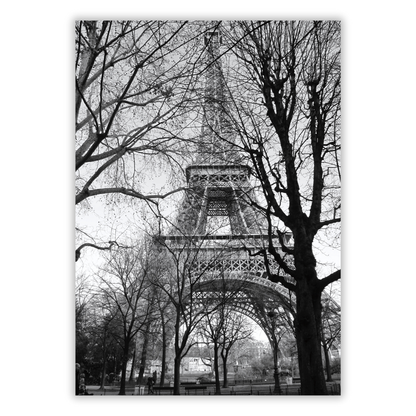 Autumn In Paris