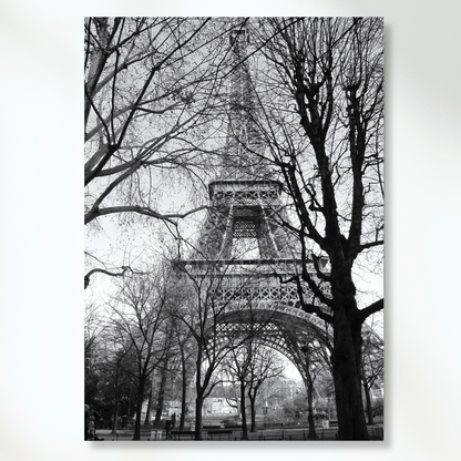 Autumn In Paris