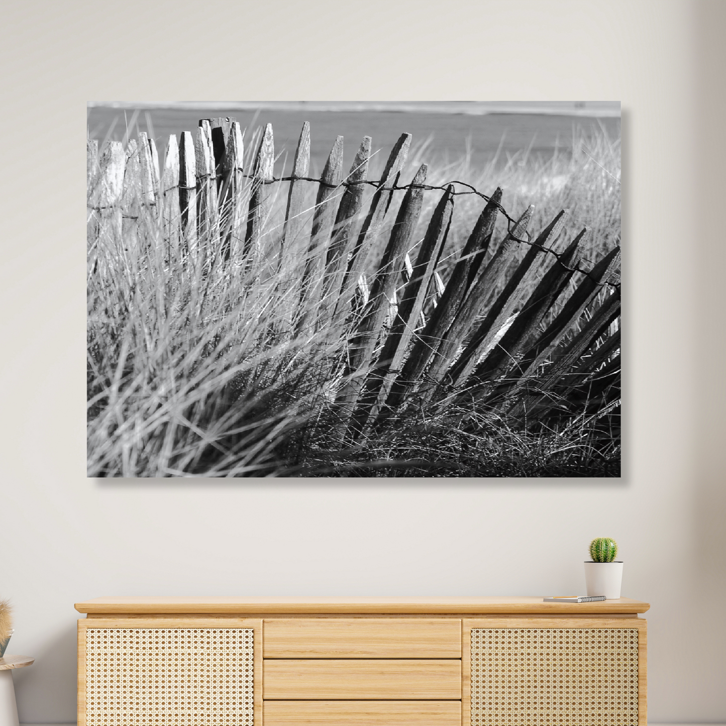 Beach Fence