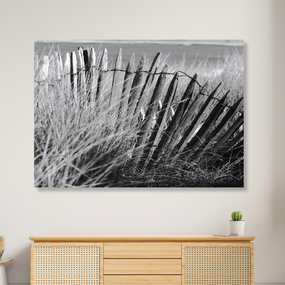 Beach Fence