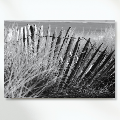 Beach Fence