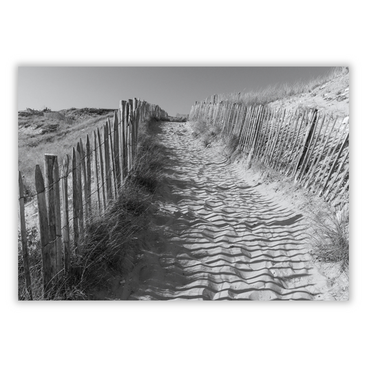 Beach Track