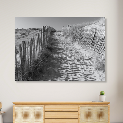 Beach Track