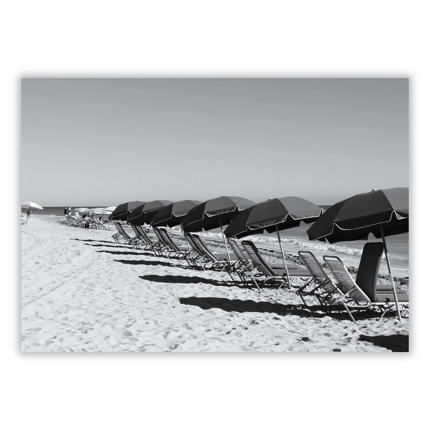 Beach Umbrellas