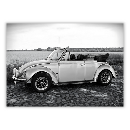 Beetle With The Top Down