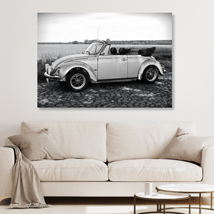 Beetle With The Top Down