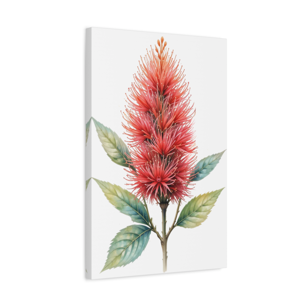 Bottlebrush Flower Wall Art Canvas Print