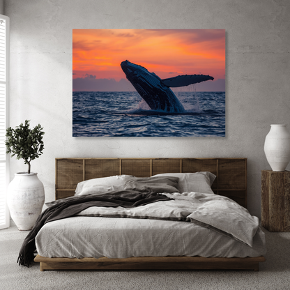 Breaching Humpback Whale Wall Art Canvas Print