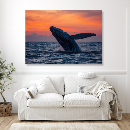 Breaching Humpback Whale Wall Art Canvas Print