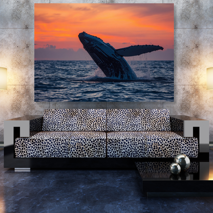 Breaching Humpback Whale Wall Art Canvas Print