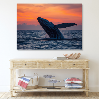 Breaching Humpback Whale Wall Art Canvas Print