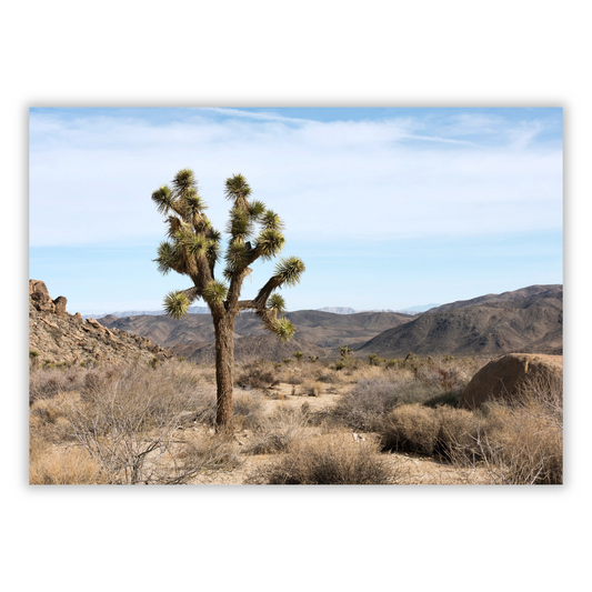 A Desert Sky