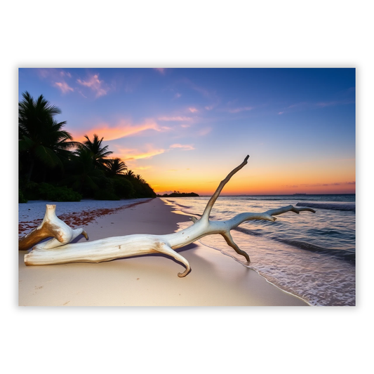 Driftwood At Dusk Wall Art Canvas Print