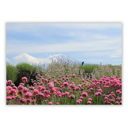 Field Near Mount Fuji