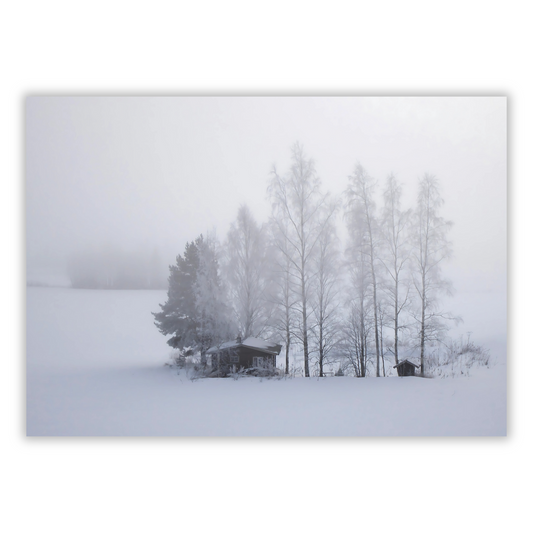 Finnish Snow