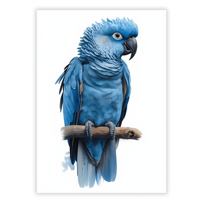 Blue Cockatoo Wall Art Canvas Print