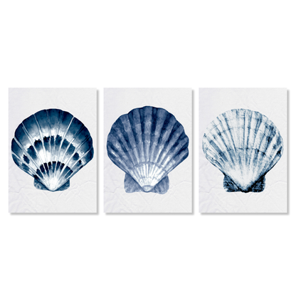 Hamptons Sea Shells Set of 3 Wall Art Canvas Prints