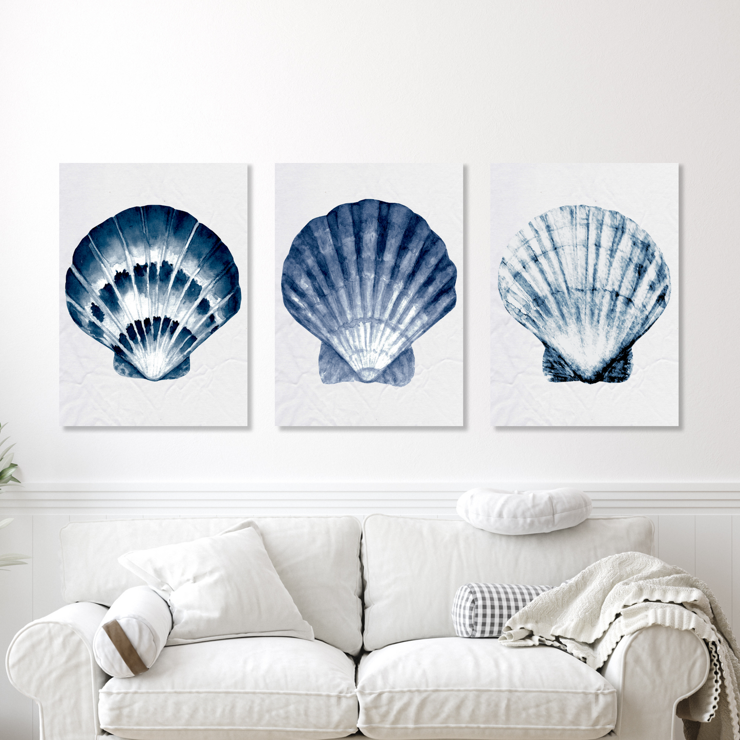 Hamptons Sea Shells Set of 3 Wall Art Canvas Prints