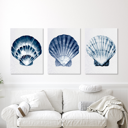 Hamptons Sea Shells Set of 3 Wall Art Canvas Prints