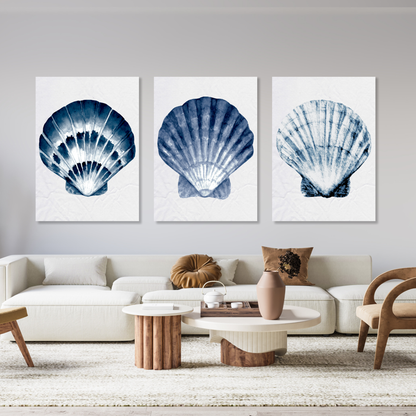 Hamptons Sea Shells Set of 3 Wall Art Canvas Prints