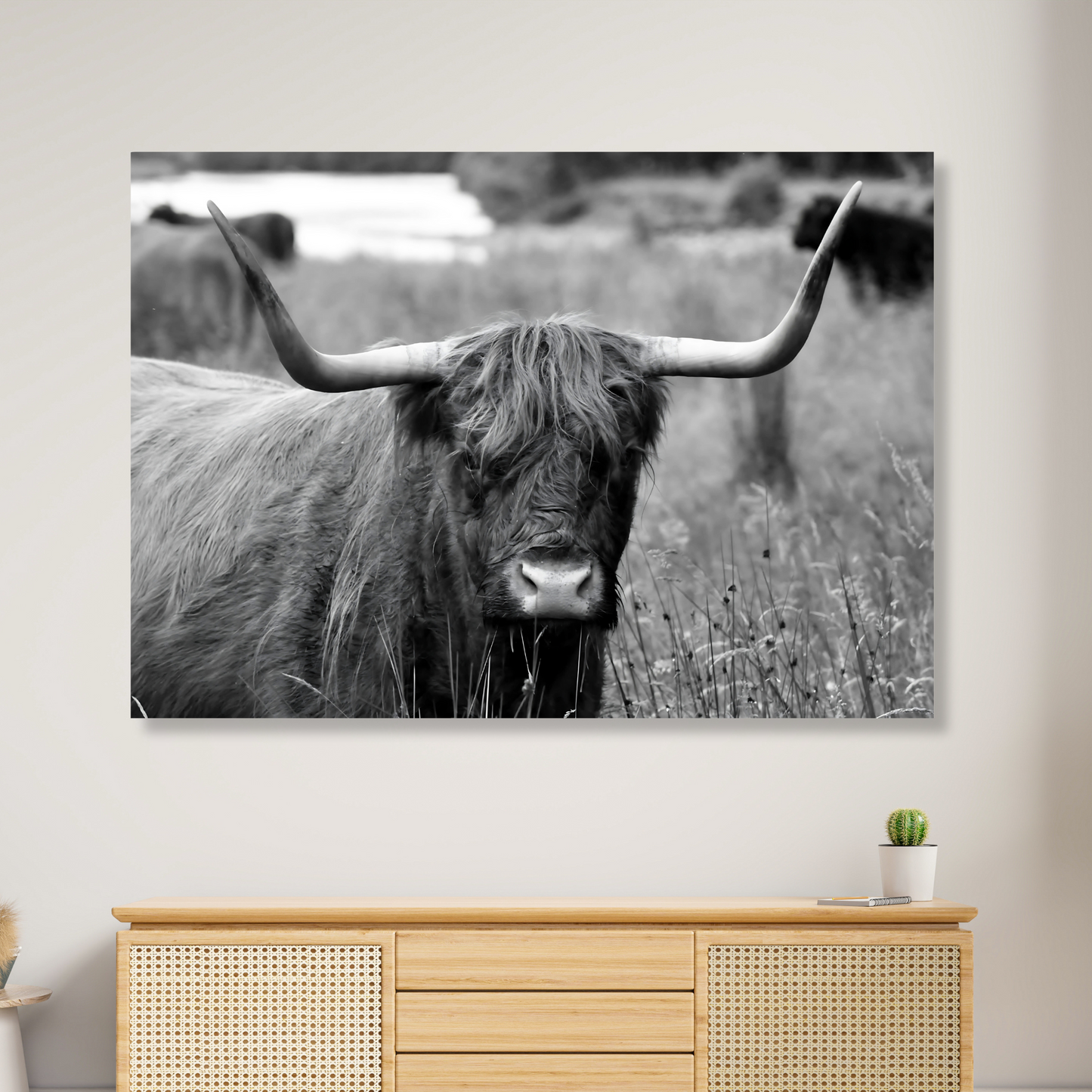 Highland Cow Horns