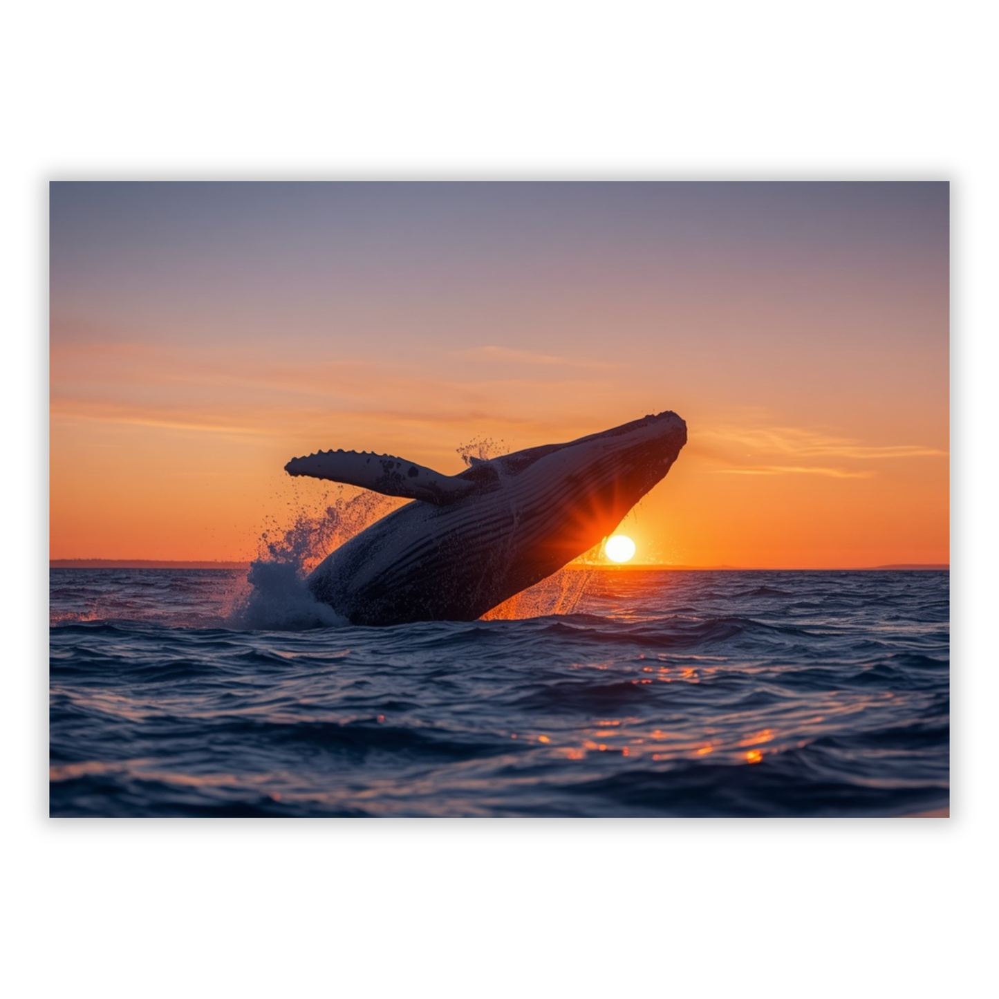 Humpback Whale At Sunrise Wall Art Canvas Print