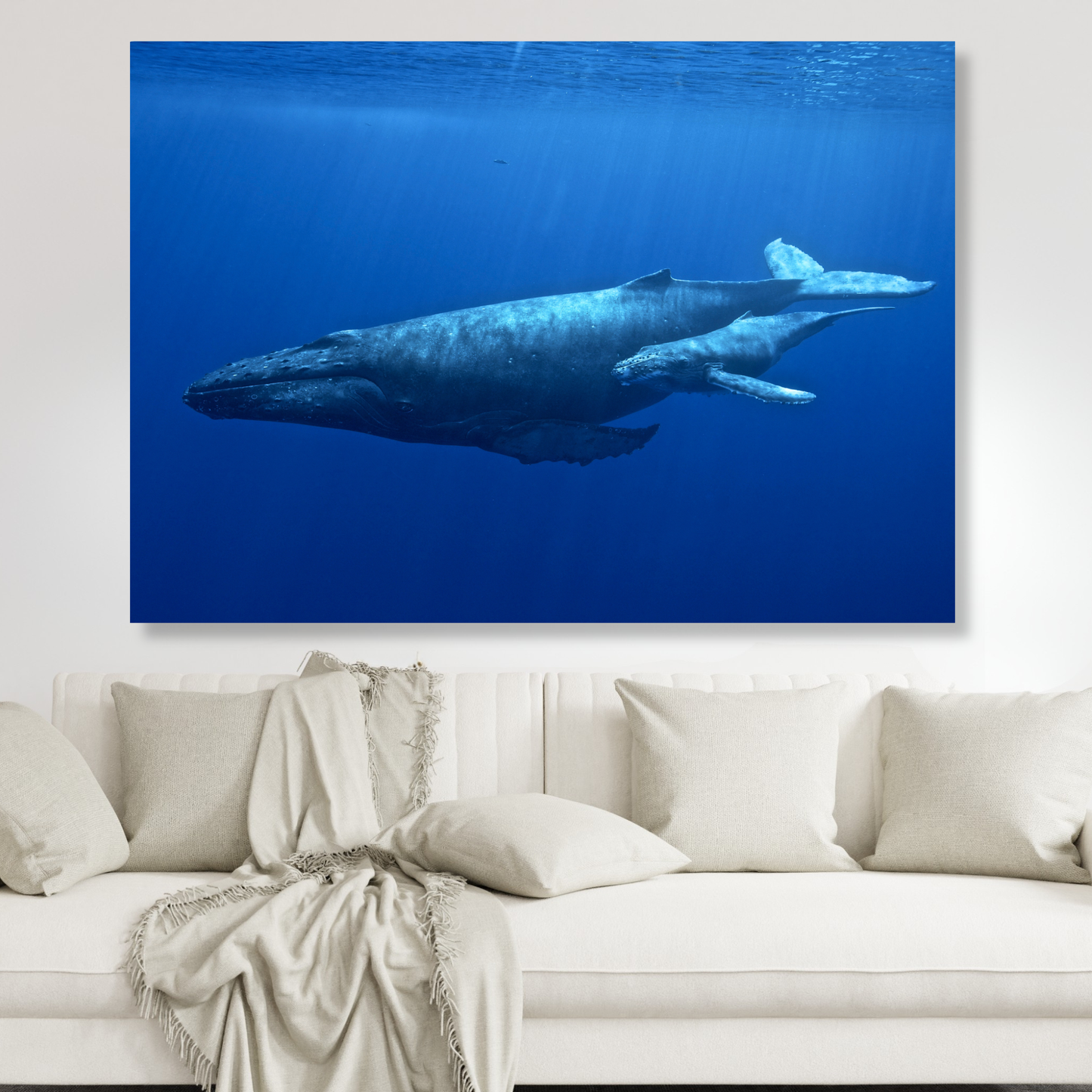 Humpback Whale & Calf Wall Art Canvas Print