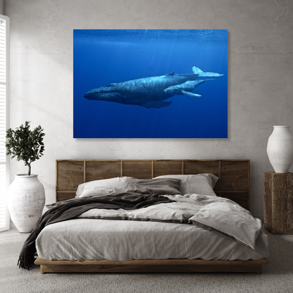 Humpback Whale & Calf Wall Art Canvas Print
