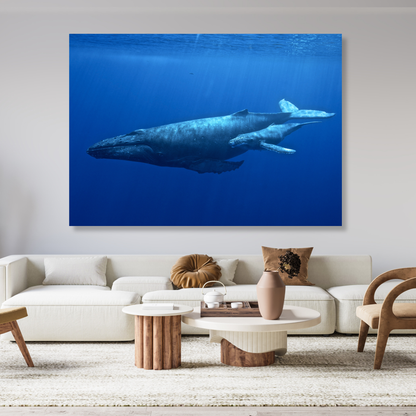 Humpback Whale & Calf Wall Art Canvas Print