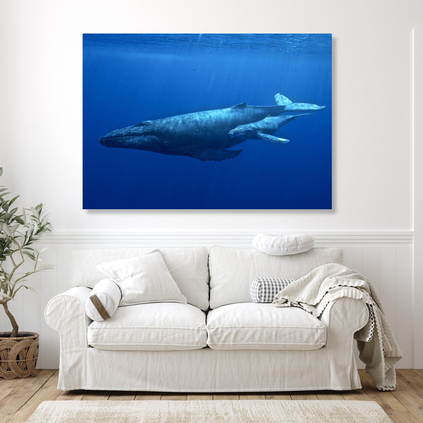 Humpback Whale & Calf Wall Art Canvas Print