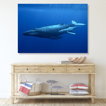 Humpback Whale & Calf Wall Art Canvas Print