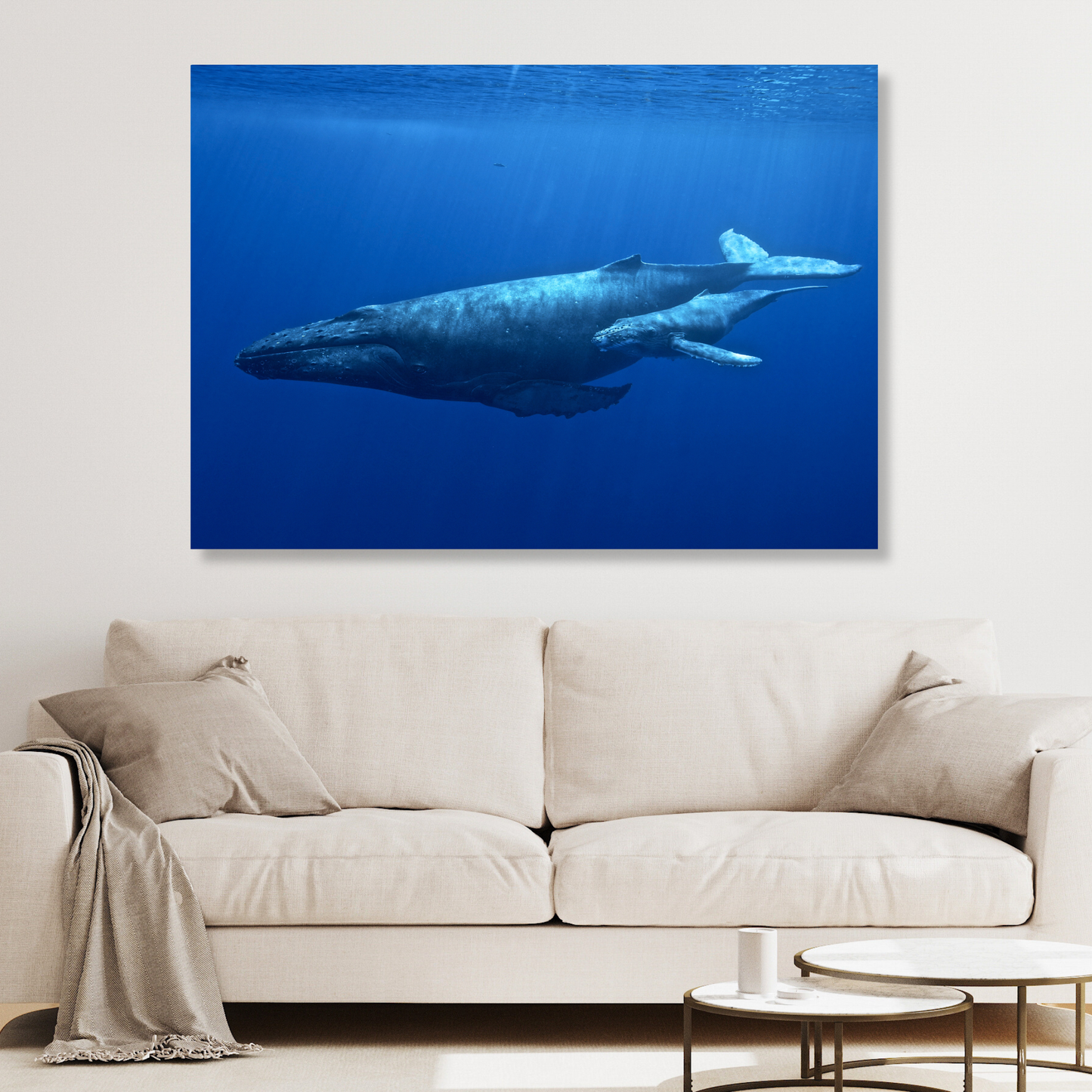 Humpback Whale & Calf Wall Art Canvas Print