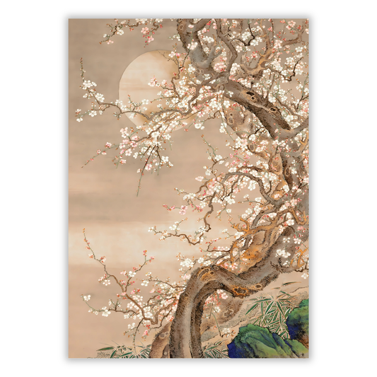 Japanese Plum Blossom Wall Art Canvas Print