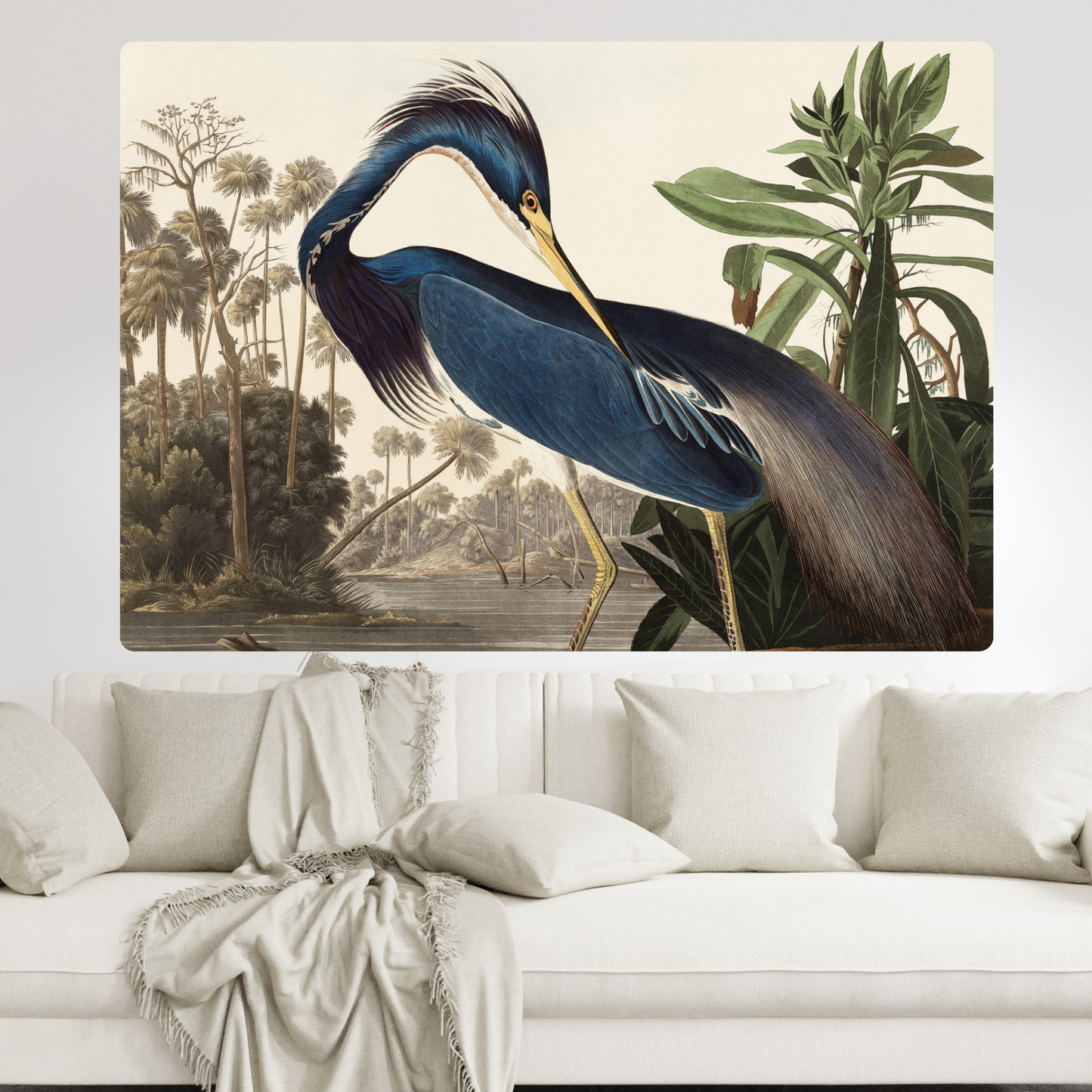 John James Audubon - Louisiana Heron Wall Art Canvas Print