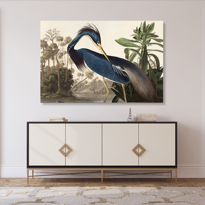 John James Audubon - Louisiana Heron Wall Art Canvas Print