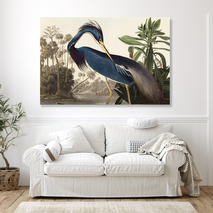 John James Audubon - Louisiana Heron Wall Art Canvas Print