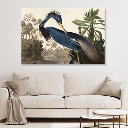 John James Audubon - Louisiana Heron Wall Art Canvas Print