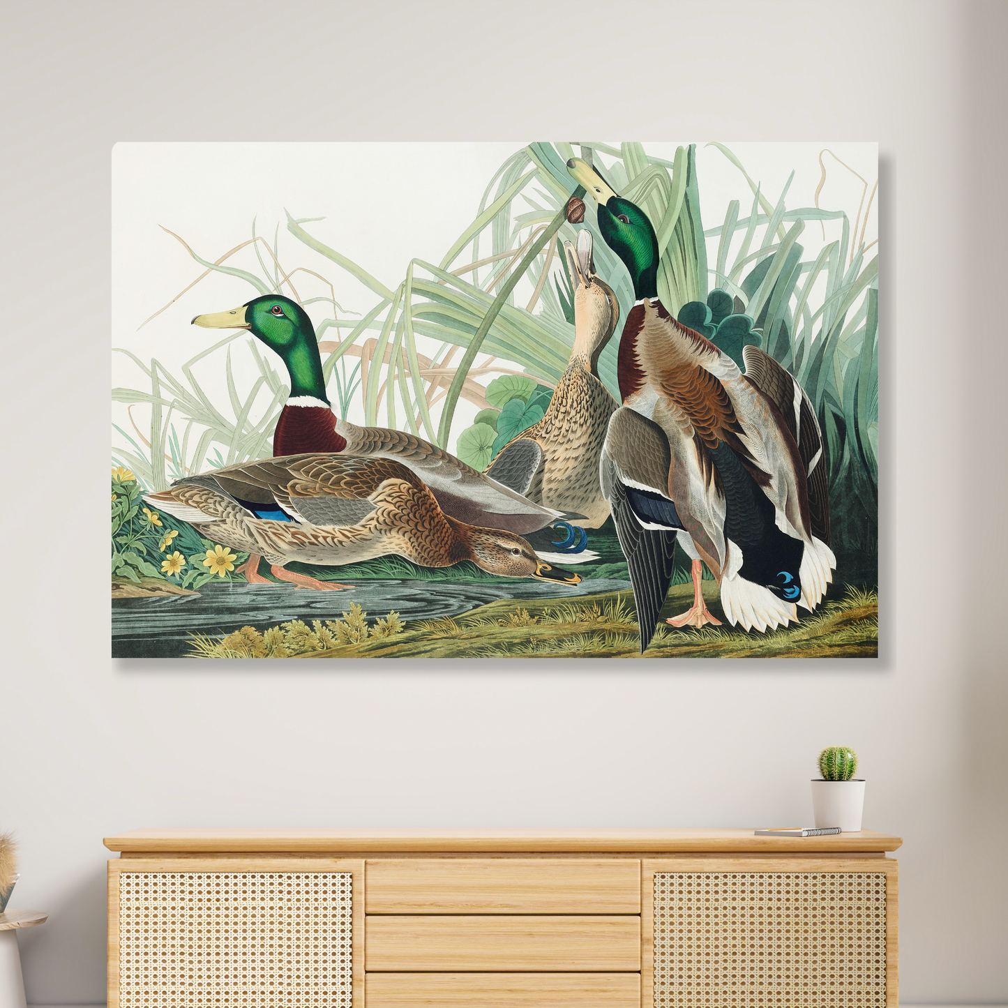 John James Audubon - Mallard Duck Wall Art Canvas Print