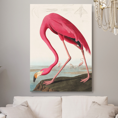 John James Audubon - Pink Flamingo from Birds of America Wall Art Canvas Print