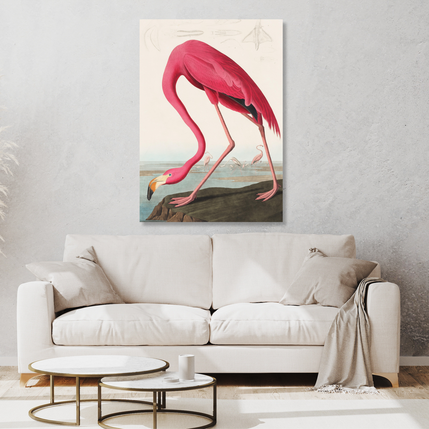 John James Audubon - Pink Flamingo from Birds of America Wall Art Canvas Print