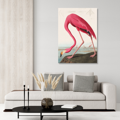 John James Audubon - Pink Flamingo from Birds of America Wall Art Canvas Print