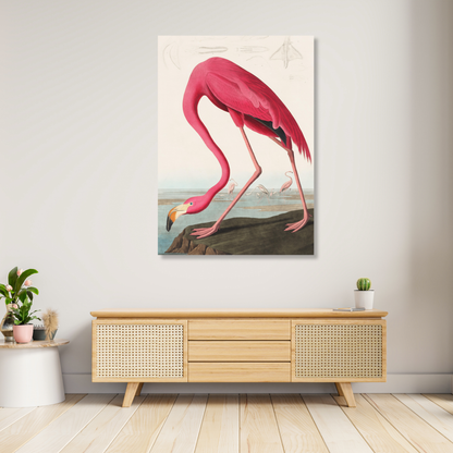 John James Audubon - Pink Flamingo from Birds of America Wall Art Canvas Print