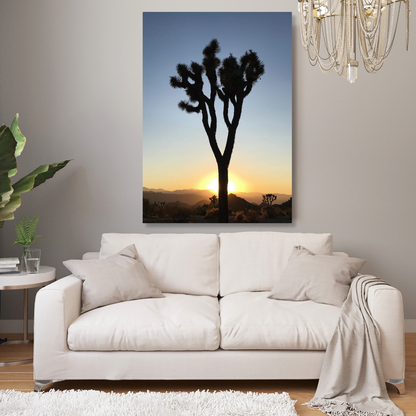 Joshua Tree Dusk